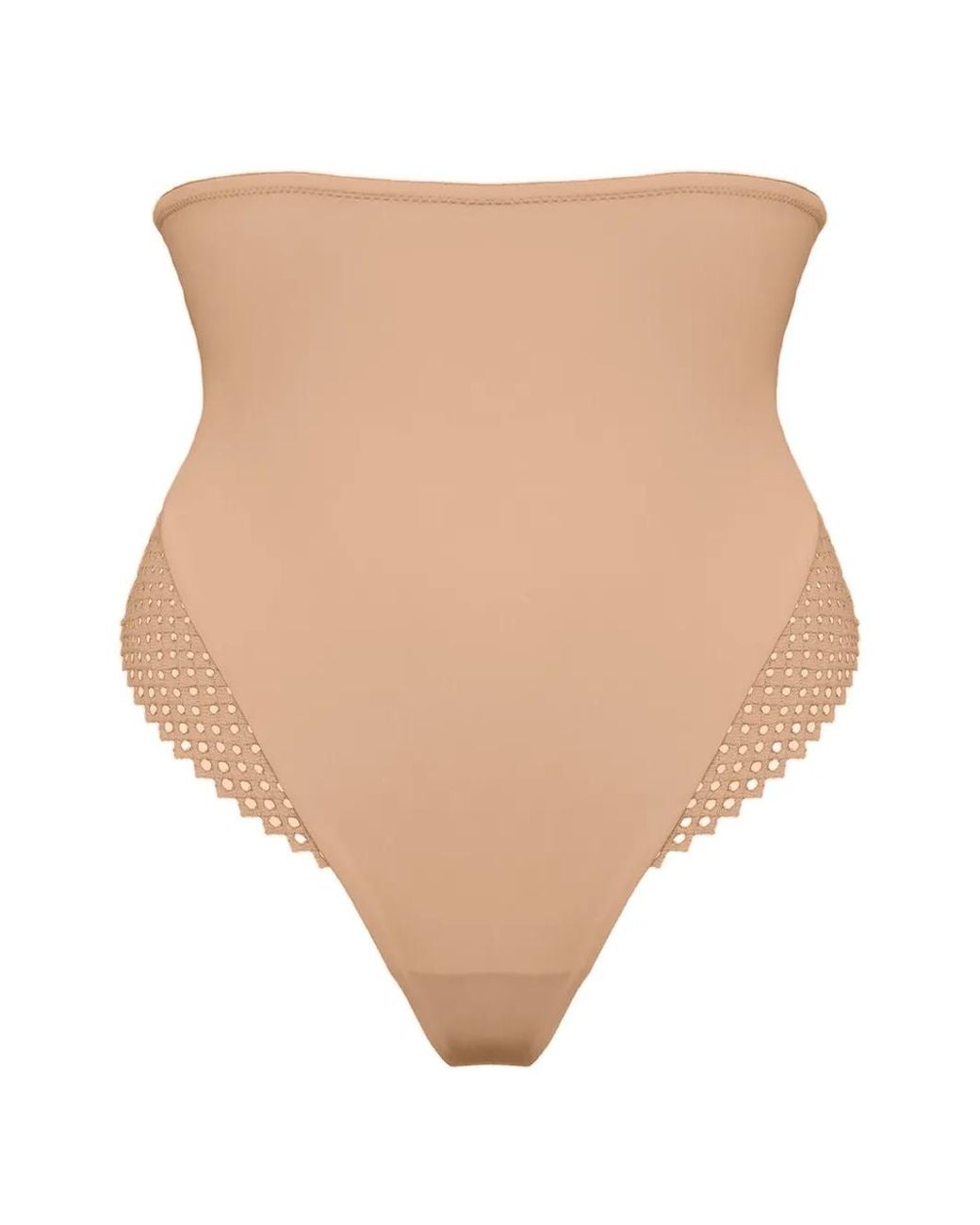 Wolford Natural Romantic Net High-Waisted Briefs