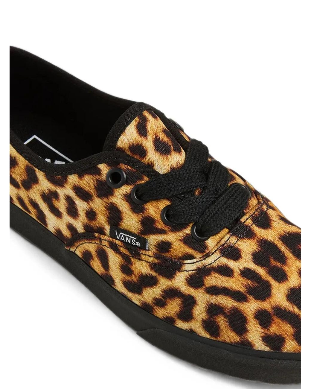 Vans Brown Authentic Lowpro Leopard-Print Sneakers