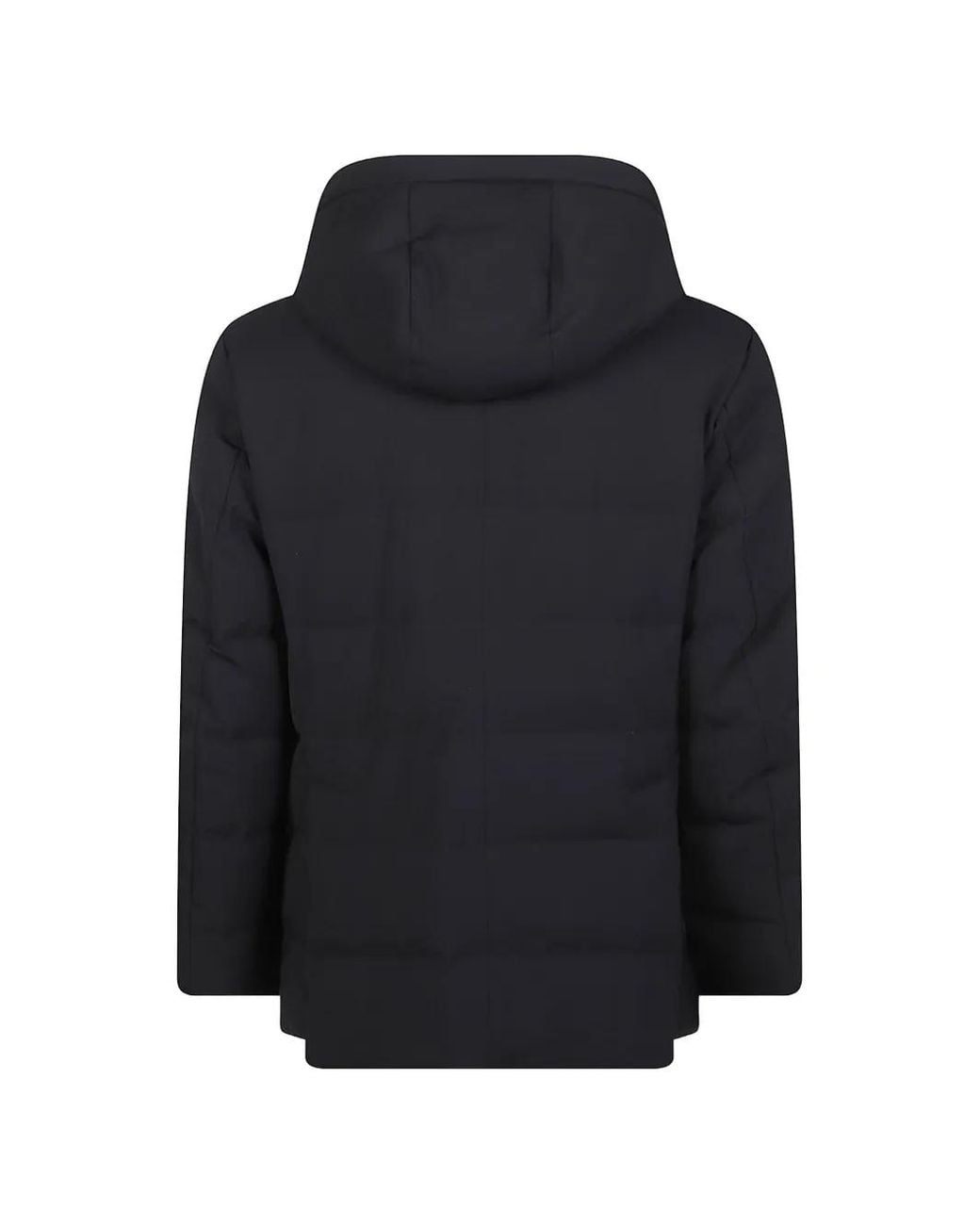 Montecore Blue Hooded Padded Jacket for men