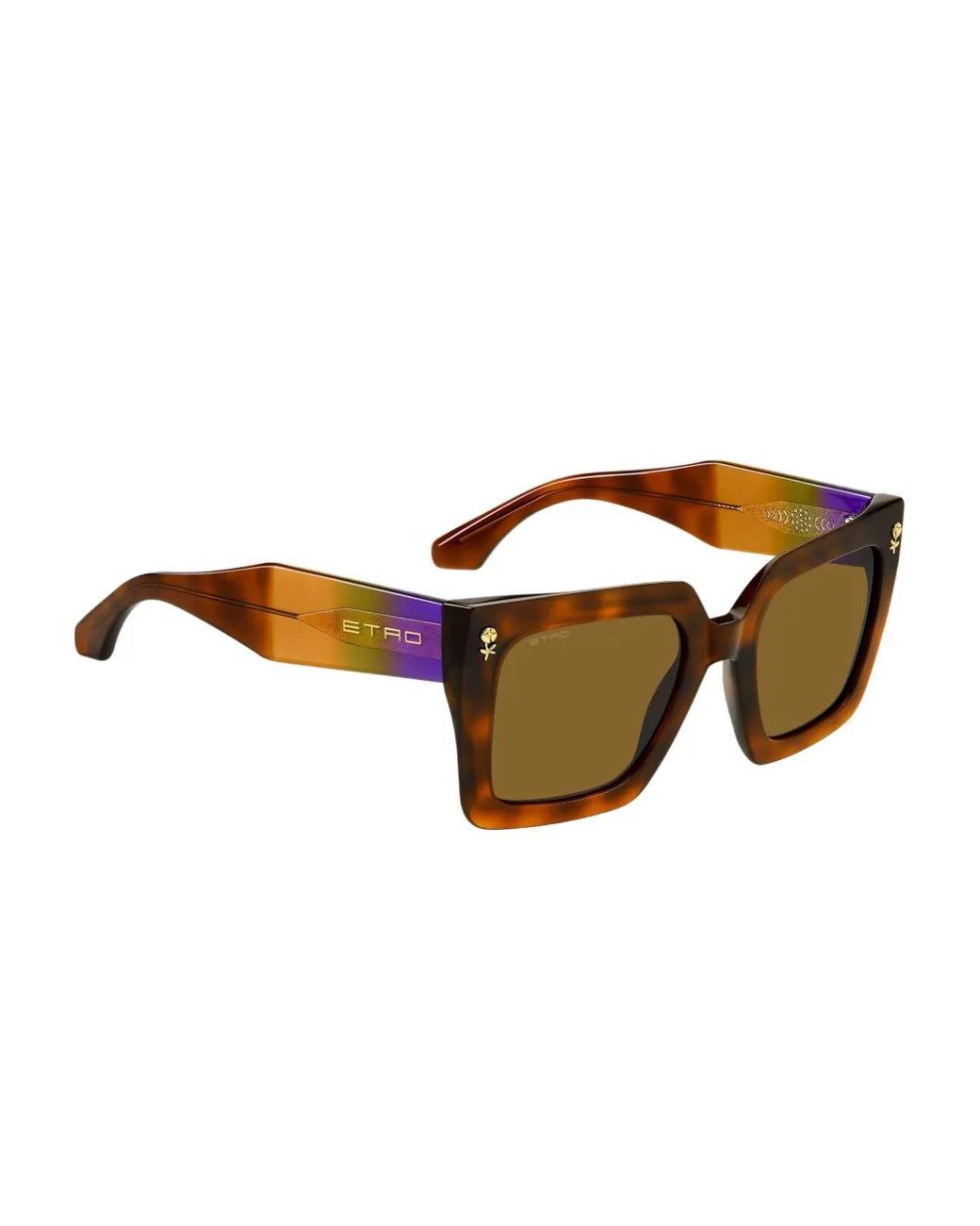 Etro Brown Colourstripes Sunglasses