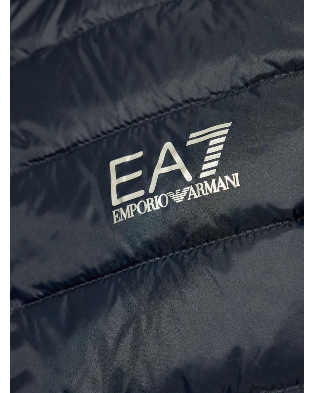 Chaleco Acolchado Con Logo Estampado EA7 de hombre de color Blue