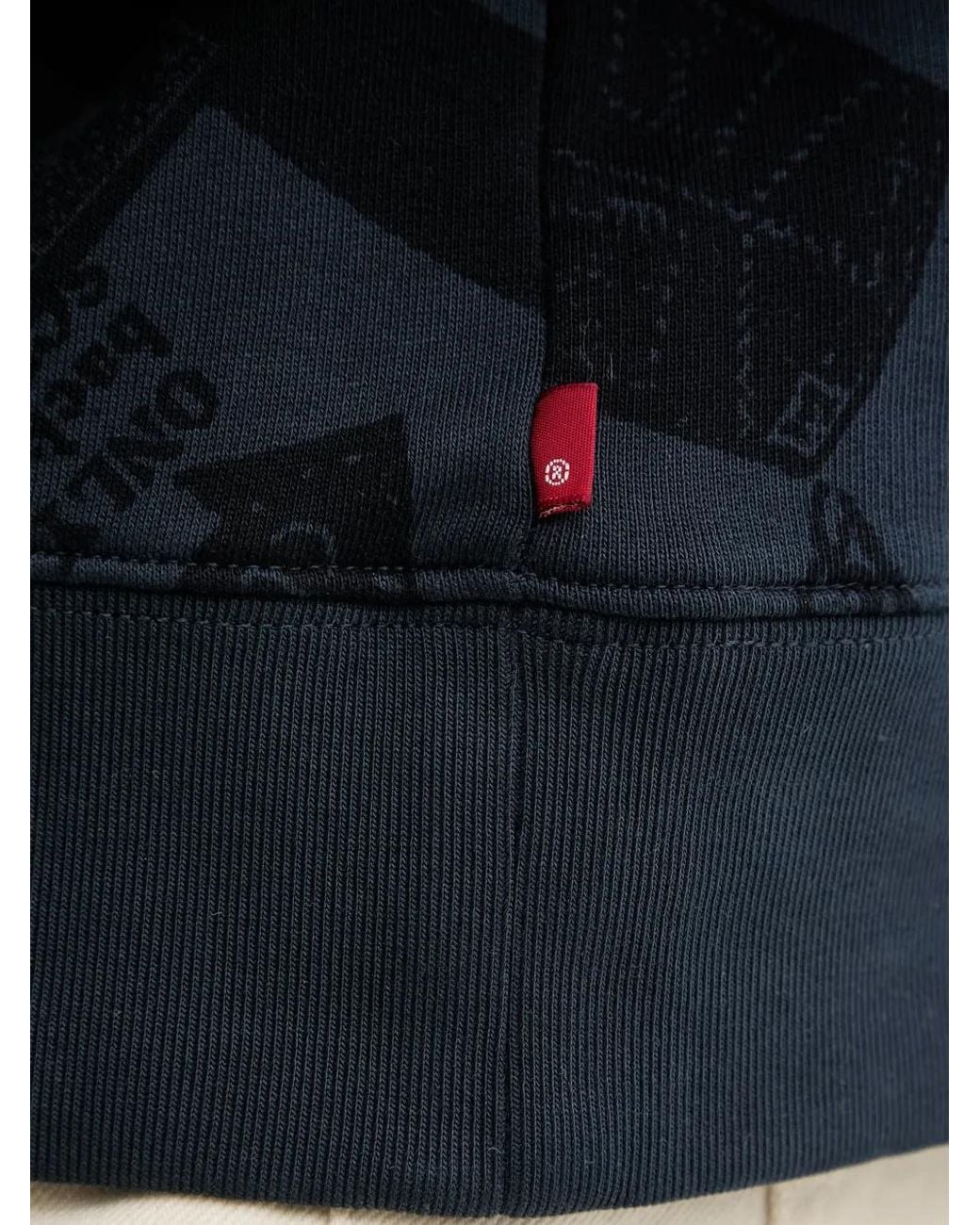 Levi's Blue Sunset Printed Hoodie for men