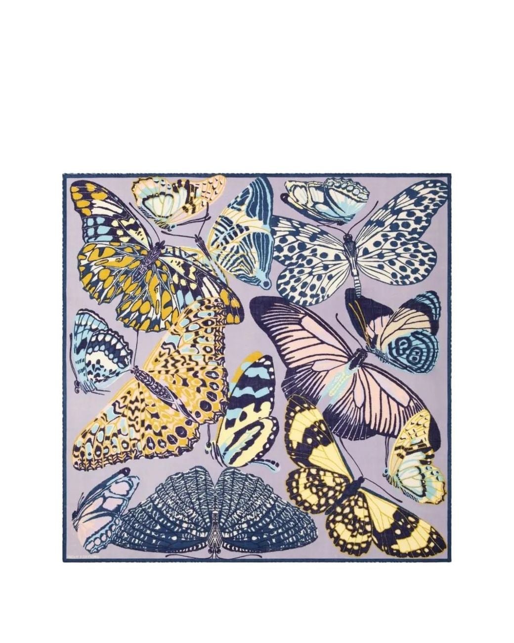Inoui Edition Blue Butterfly-Print Square Scarf
