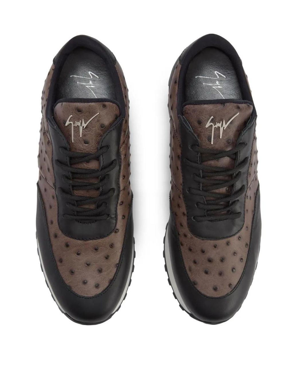 Giuseppe Zanotti Brown Jimi Ostrich-Leather Sneakers for men