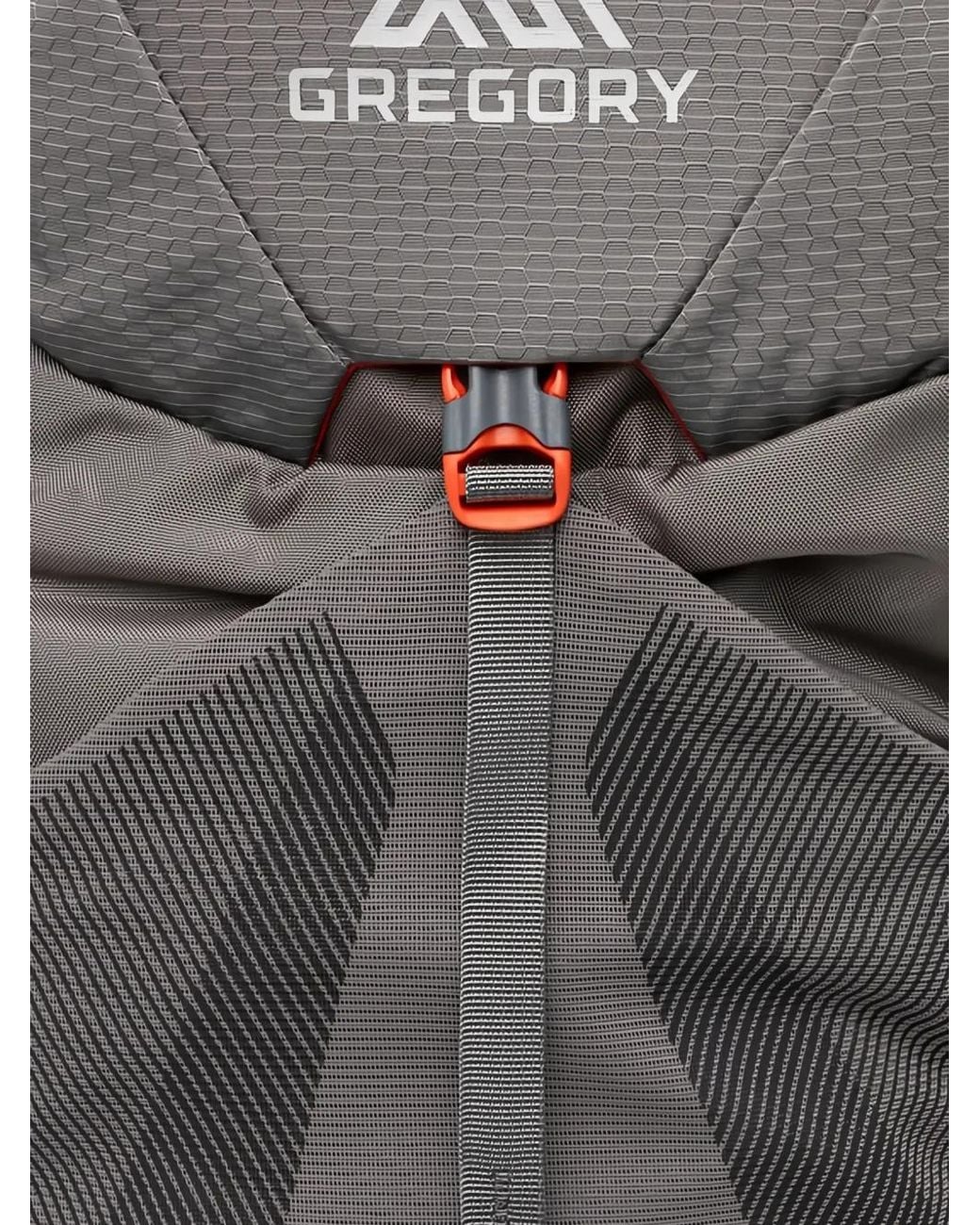 Gregory Gray Pattern Backpack