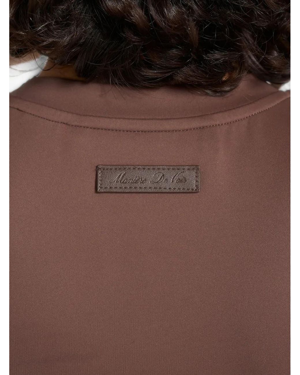 Manière De Voir Brown Wren