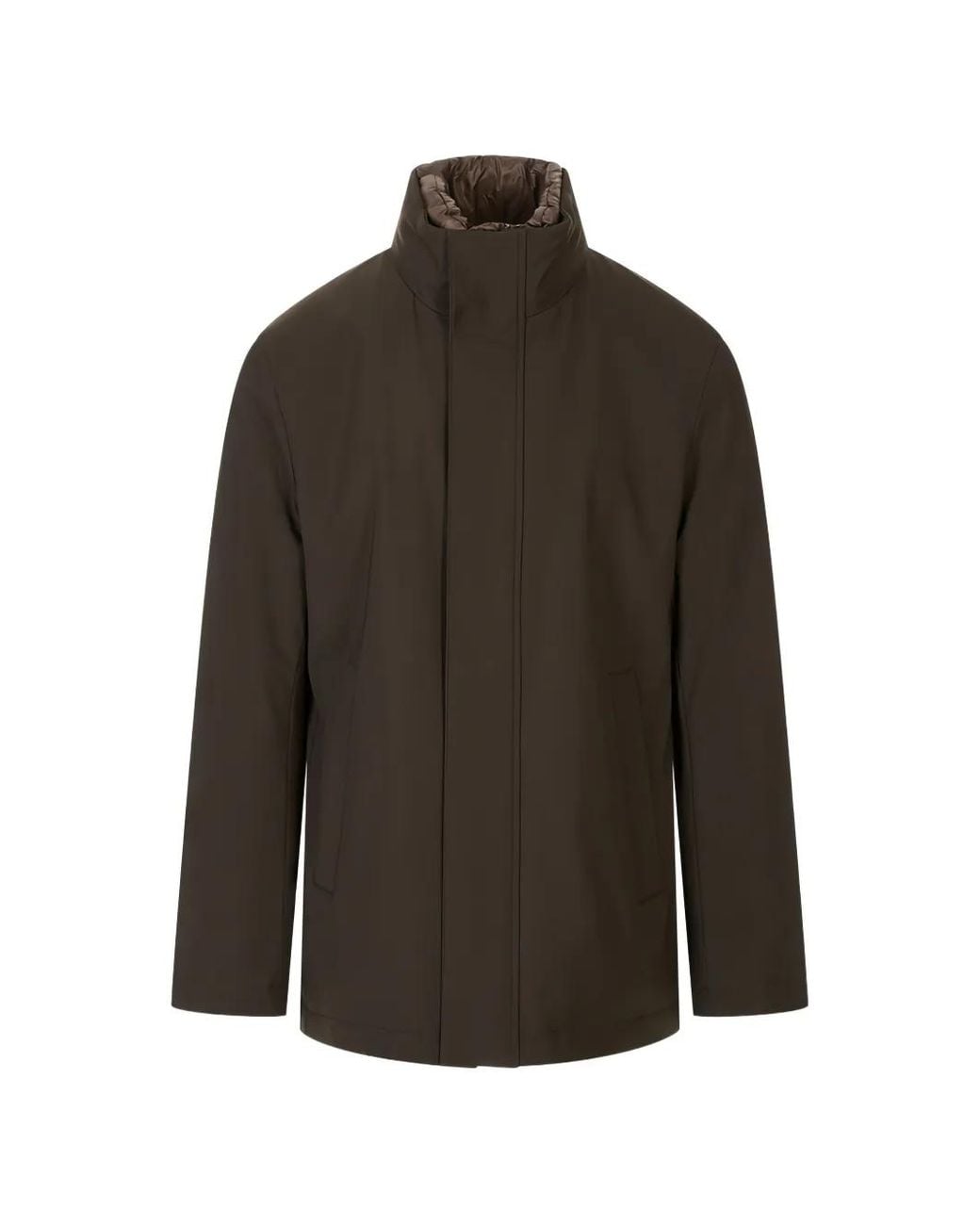 Montecore Brown High-Neck Padded Jacket for men