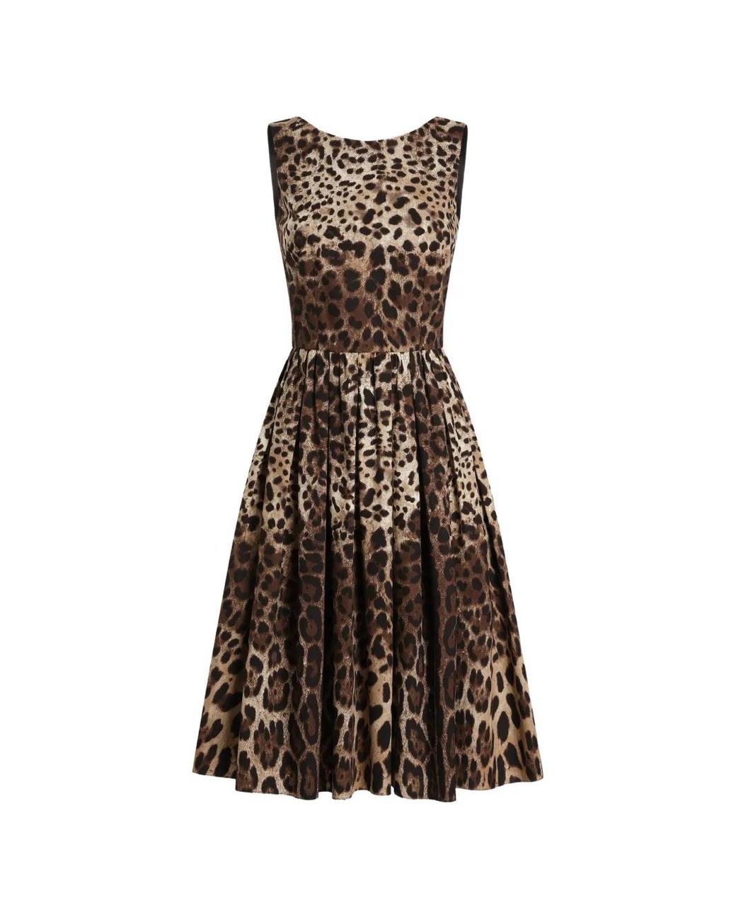 Dolce & Gabbana Black Leo-Print Cotton Poplin Dress