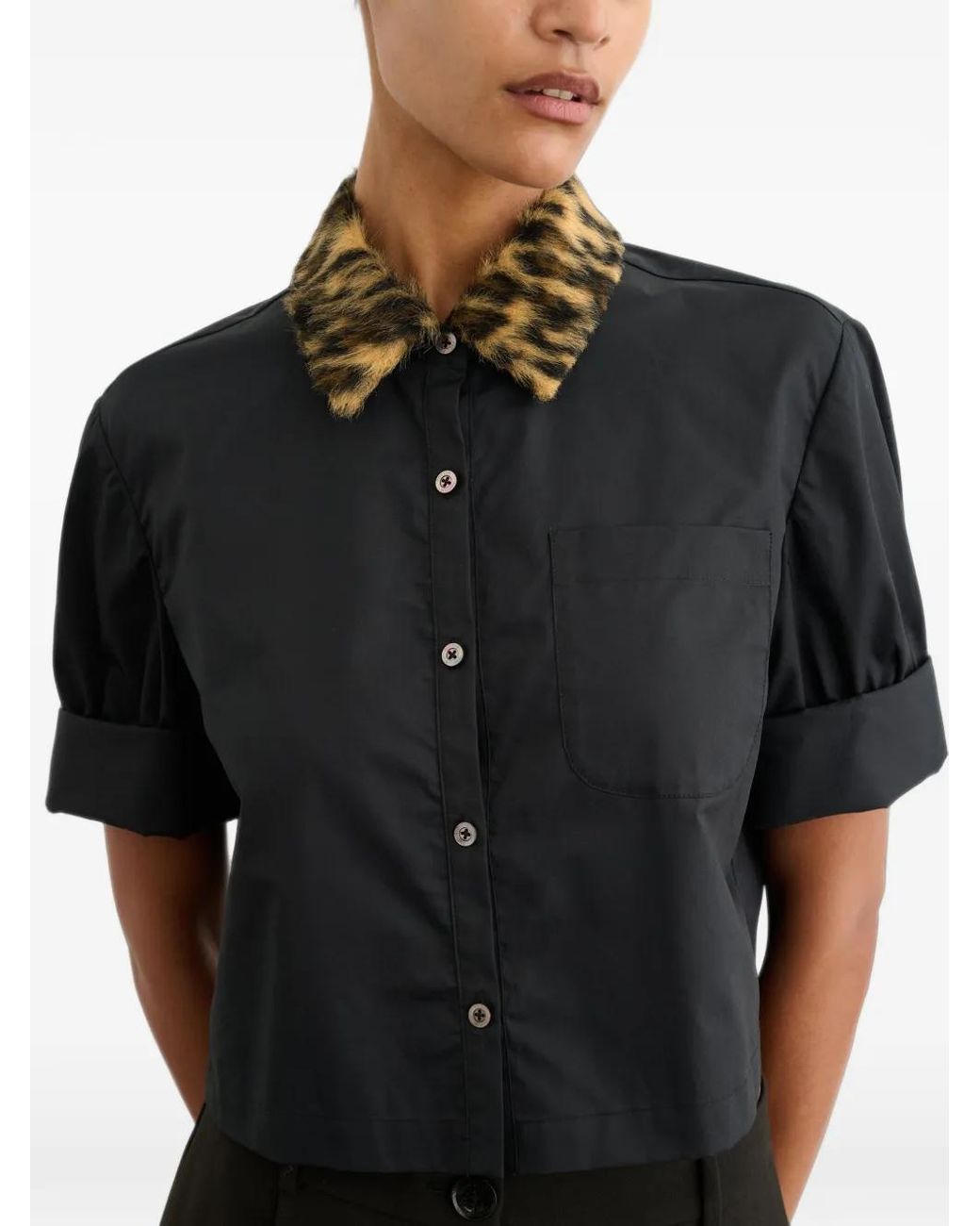 Toccin Black Zadie Leopard-Print Collar Cropped Shirt