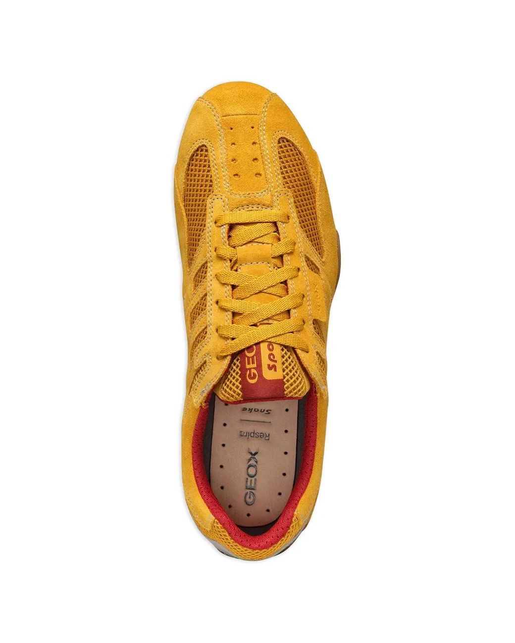 Geox Mesh Panel Sneakers in Orange for Men | Lyst UK