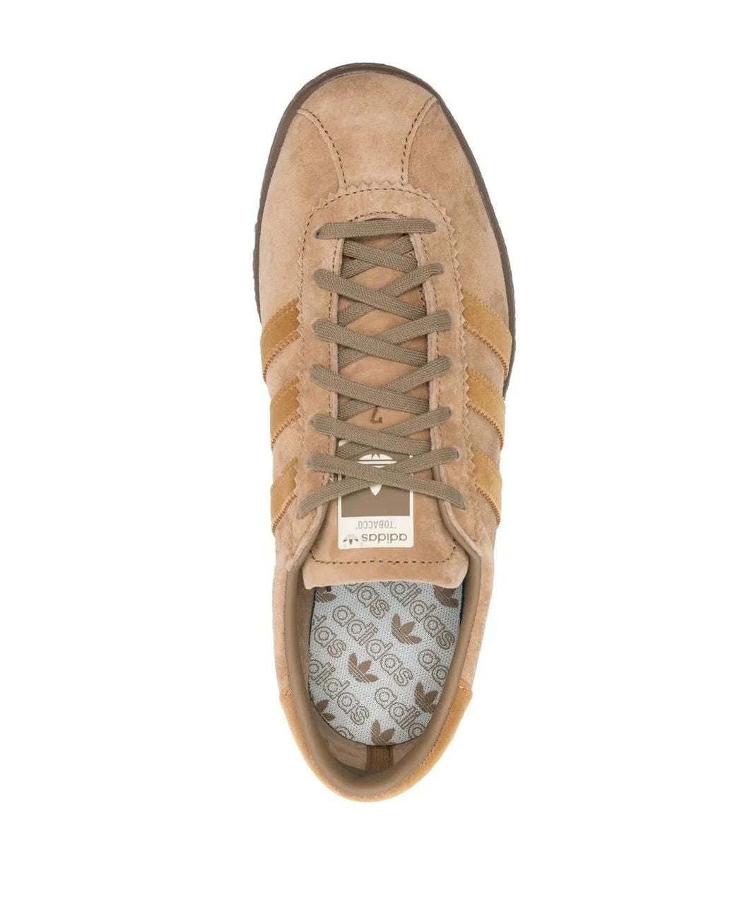 Adidas Brown Tobacco Sneakers for men