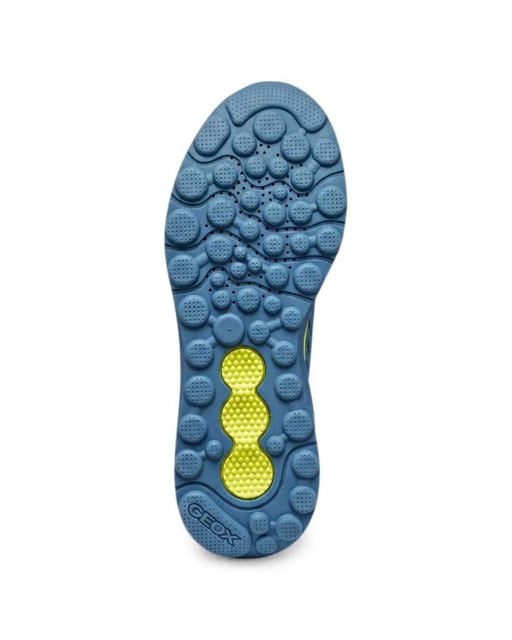 Geox Blue Sneakers for men