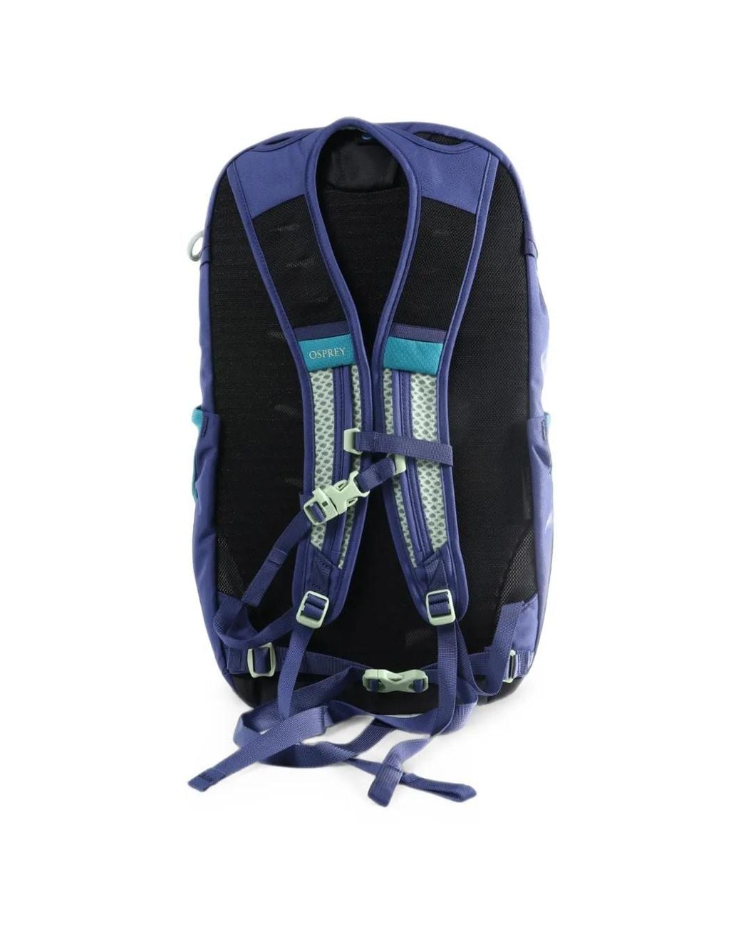 Osprey Blue Daylite Plus Backpack