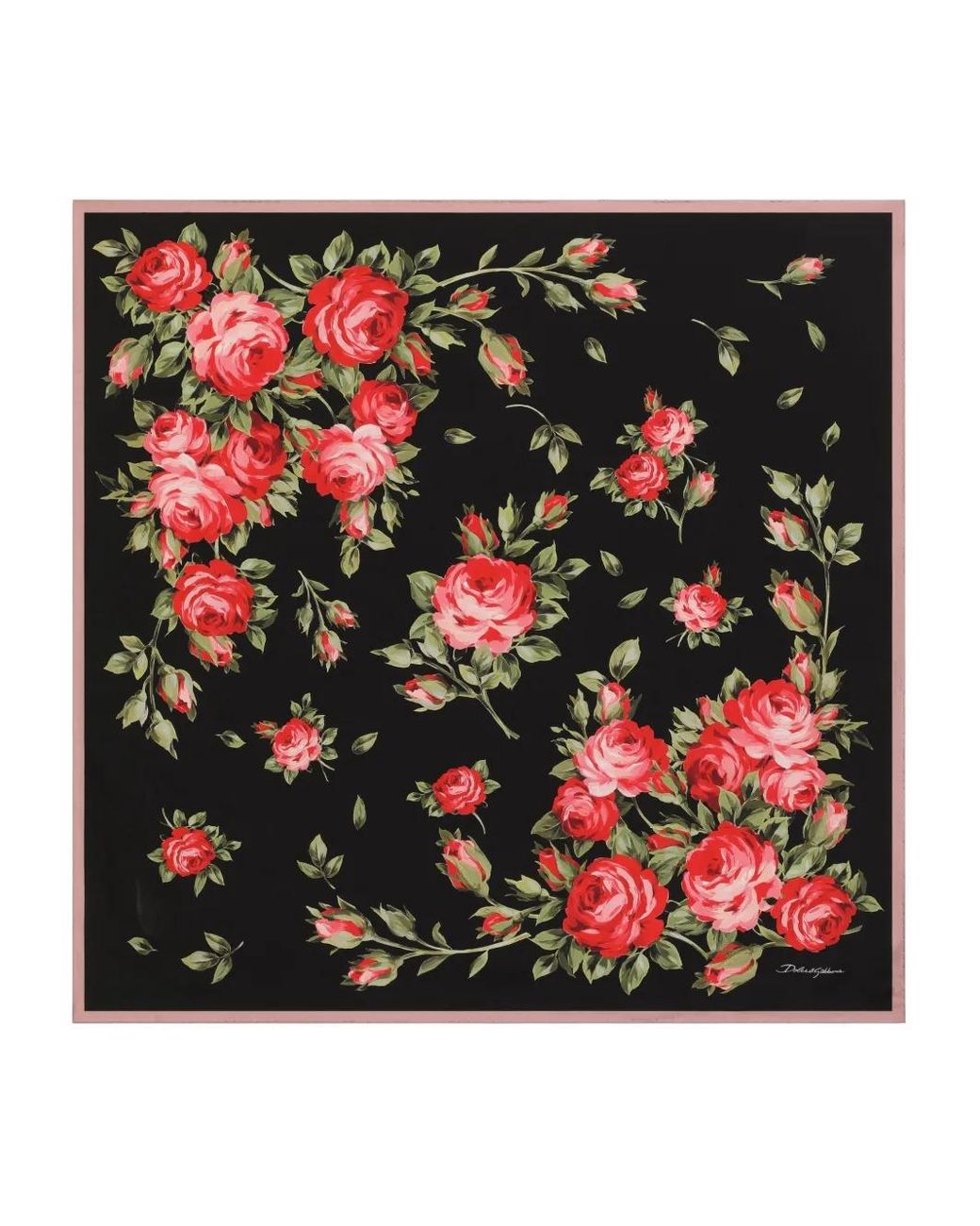 Dolce & Gabbana Red Dolce & Gabbana Floral-Print Scarf