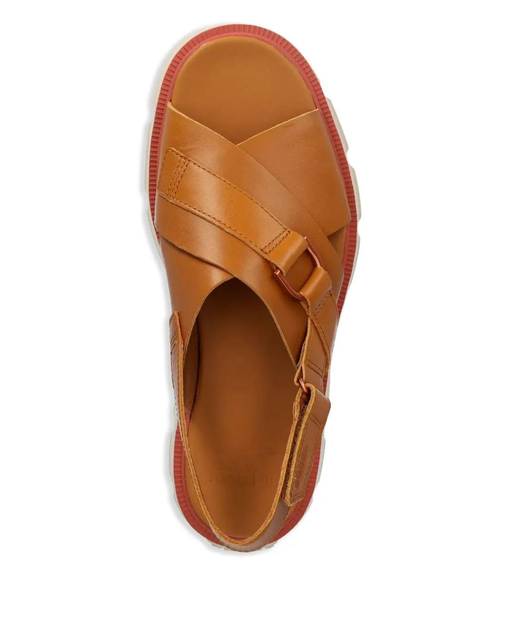 Sorel Brown Rein Cb Sandals