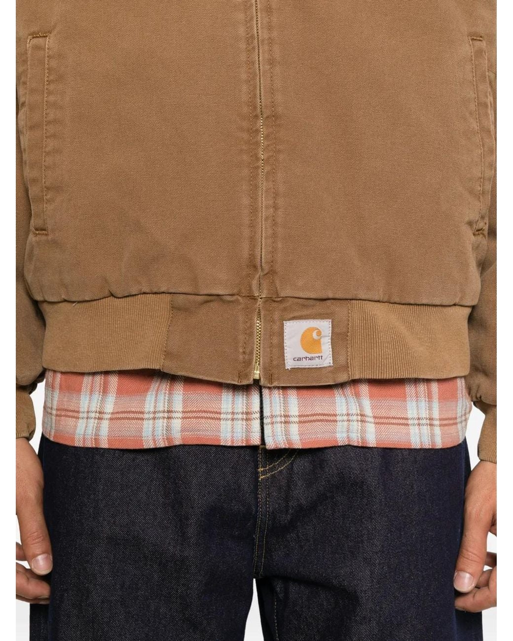 Carhartt Brown Organic Dearborn Canvas Padded Jacket for men