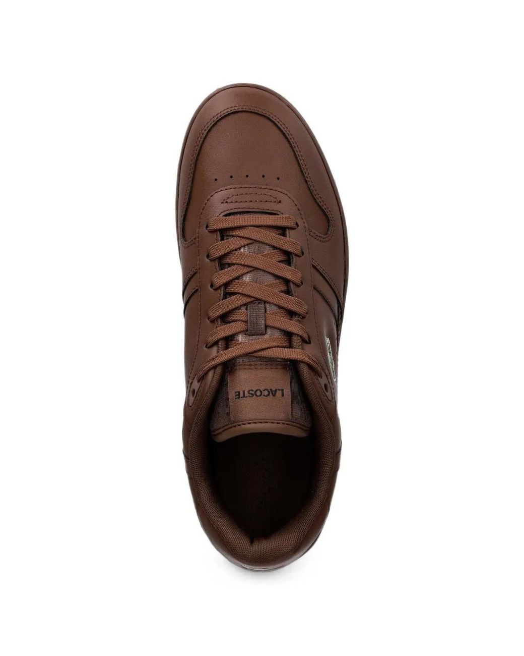 Lacoste Brown T-Clip Logo-Patch Leather Sneakers for men