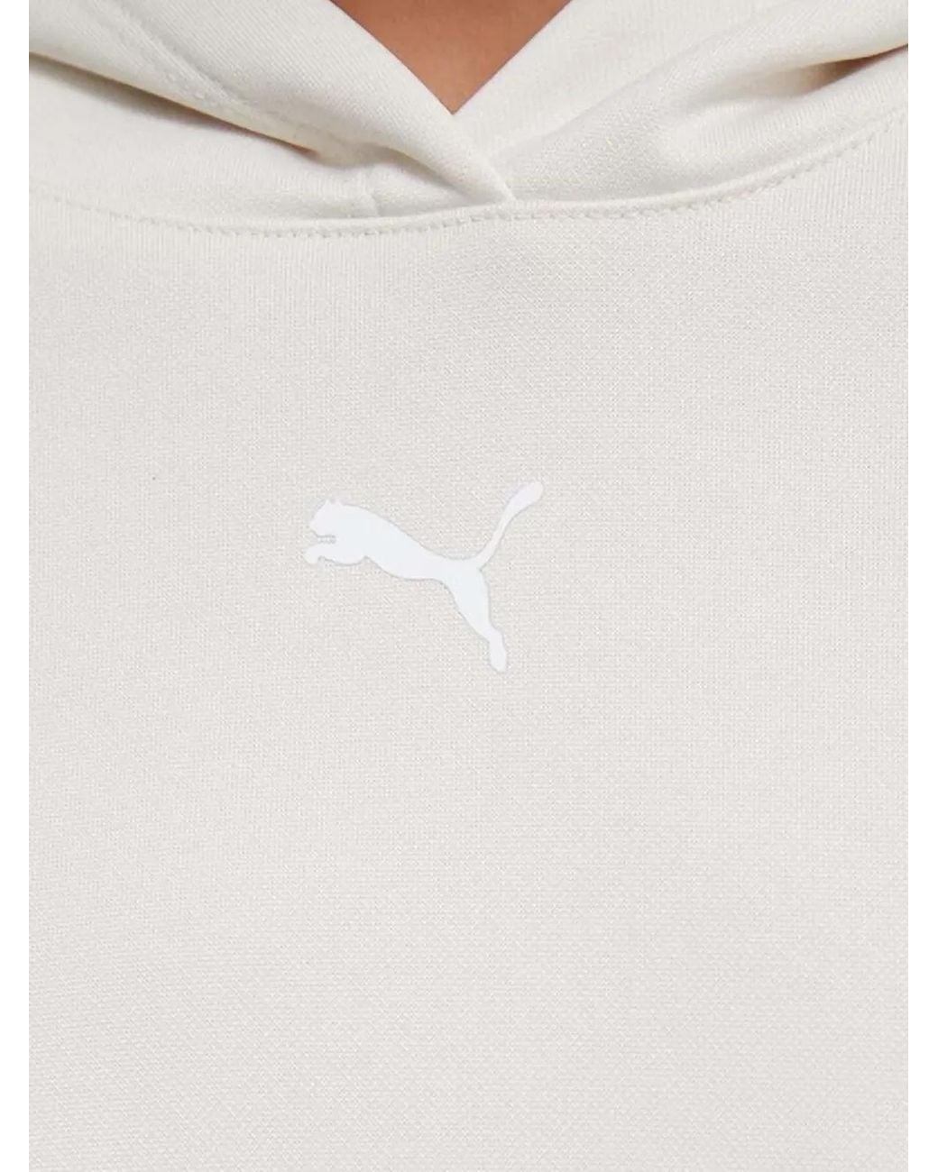 PUMA Blue Pwrfleece Hoodie