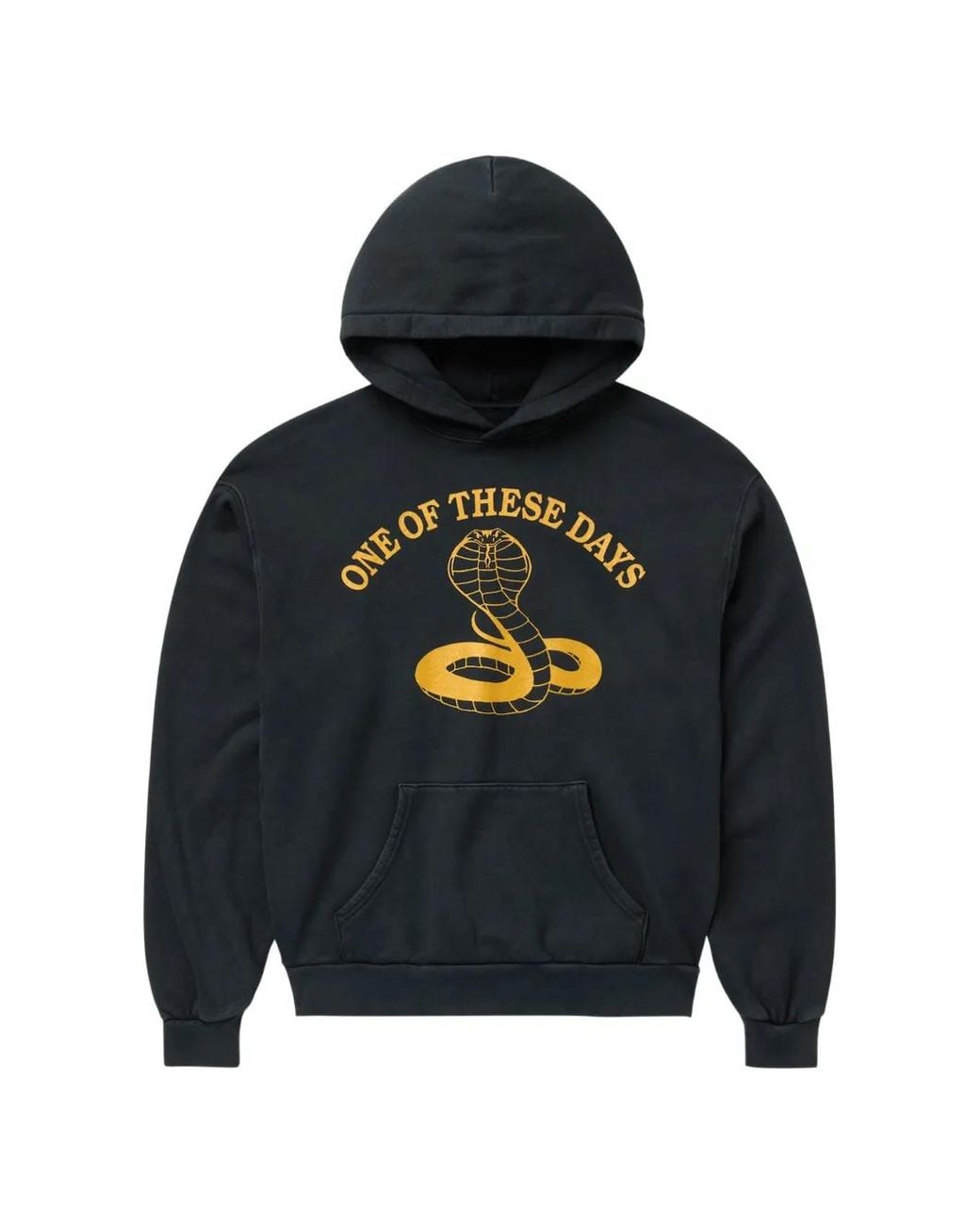 One Of These Days Blue Cobra Hoodie for men