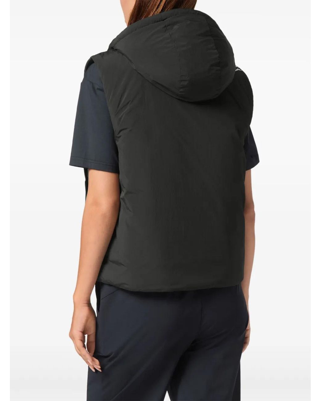 Chaleco Acolchado Con Estampado Scratch Philipp Plein de color Black