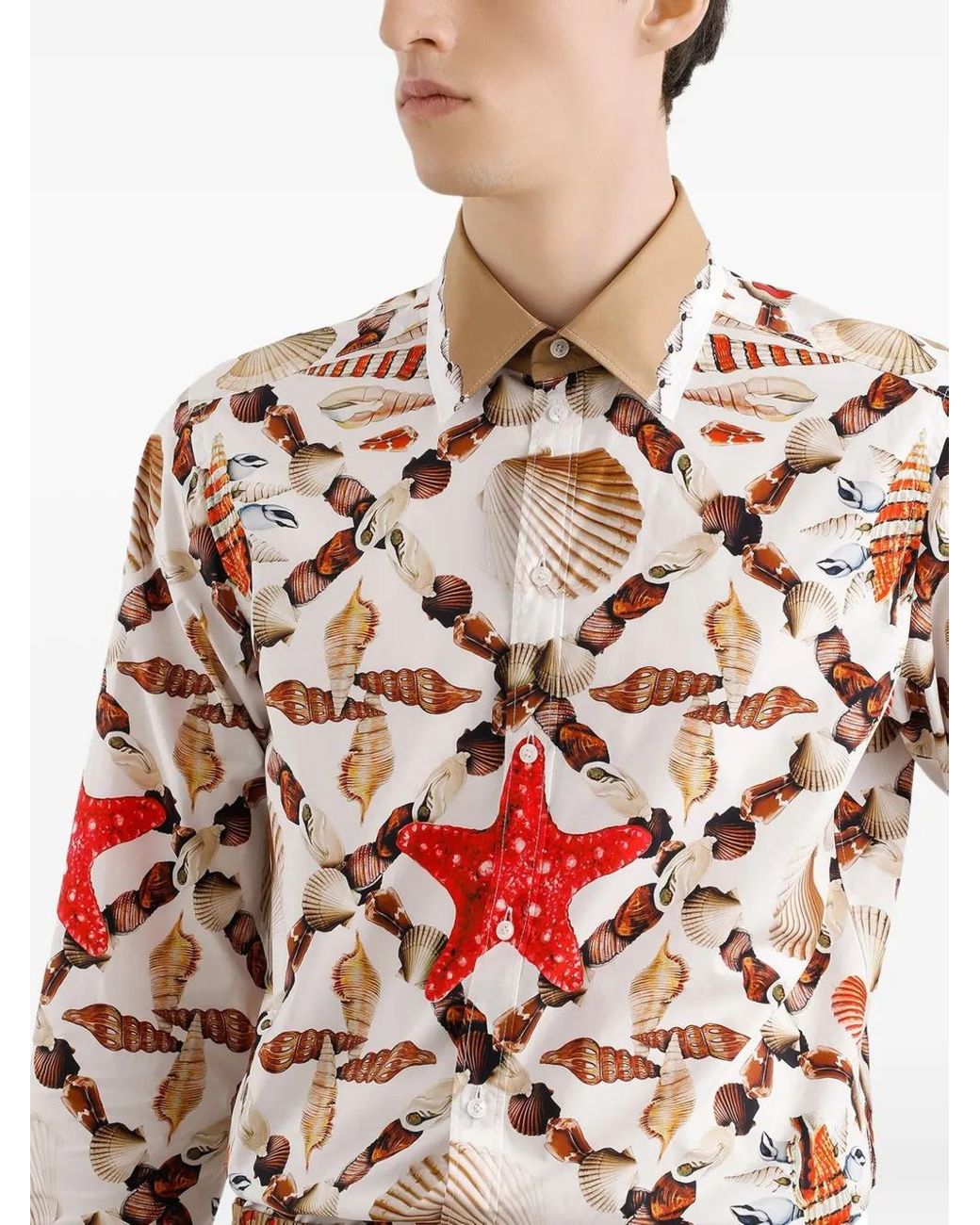 Dolce & Gabbana Red Shell-Print Cotton Poplin Martini Shirt for men