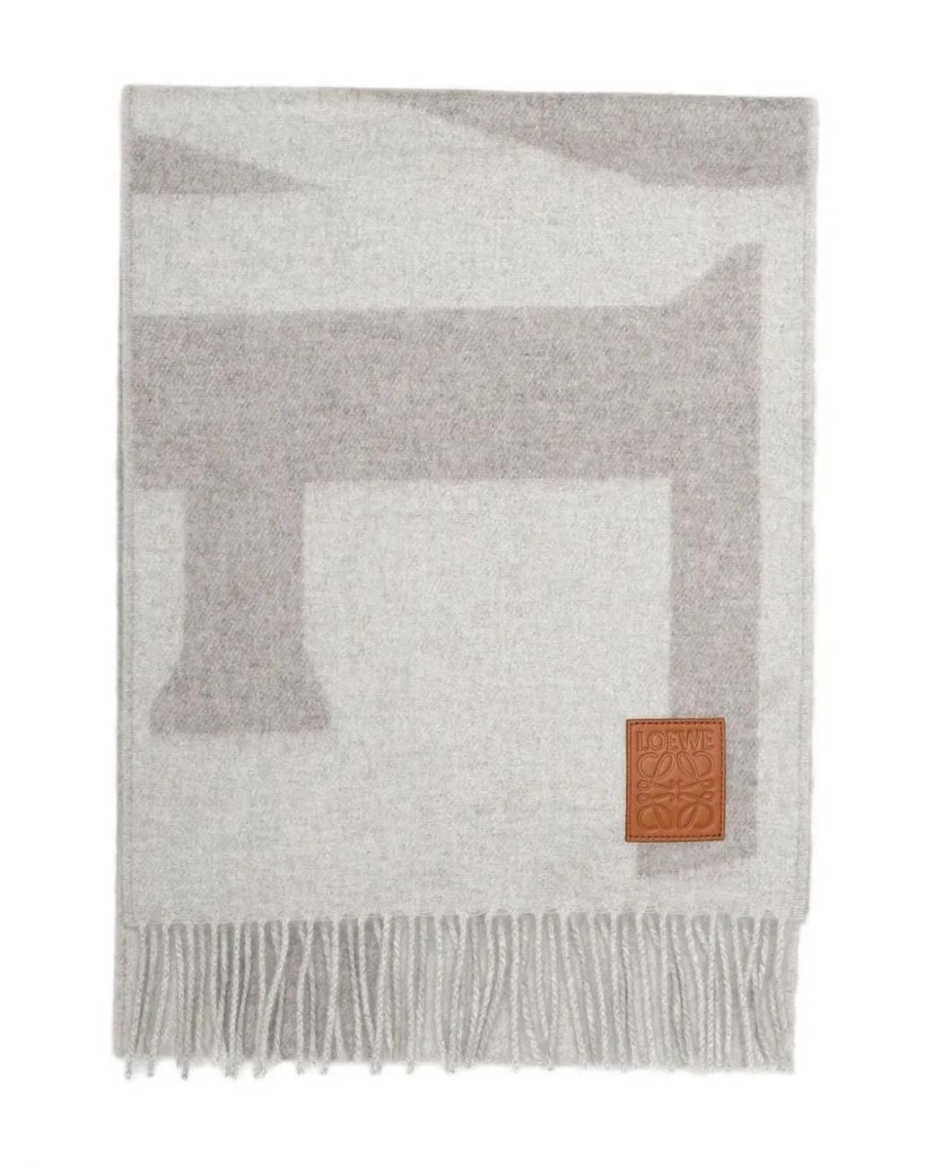 Sciarpa Con Frange E Logo di Loewe in Gray