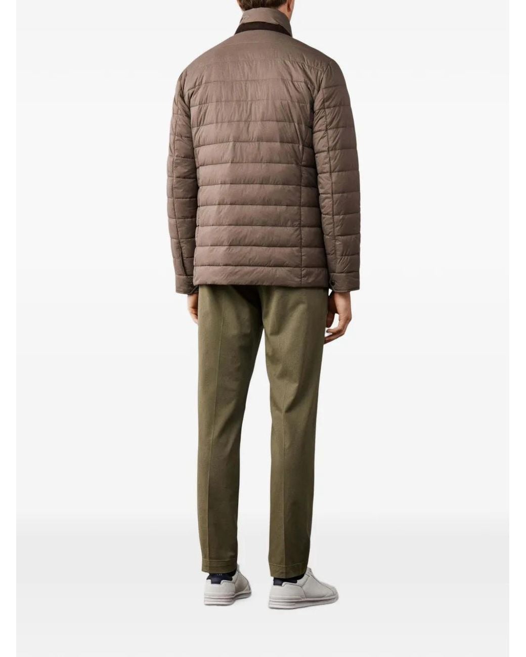 Hackett Brown High-Neck Padded Jacket for men