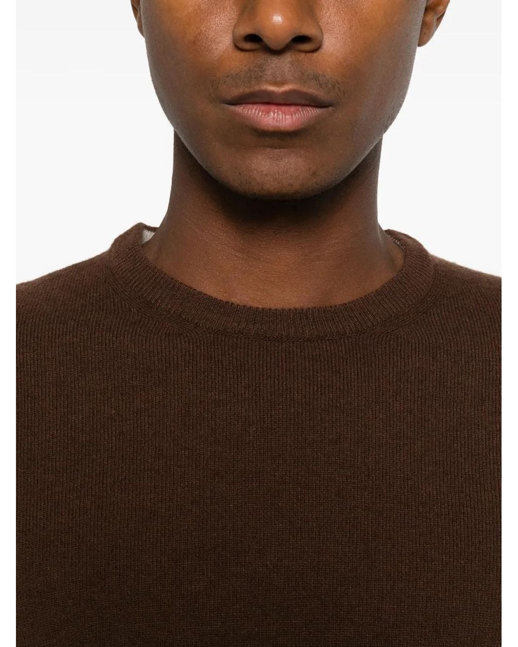Heritage Brown Crew-Neck Long-Sleeve Sweater for men