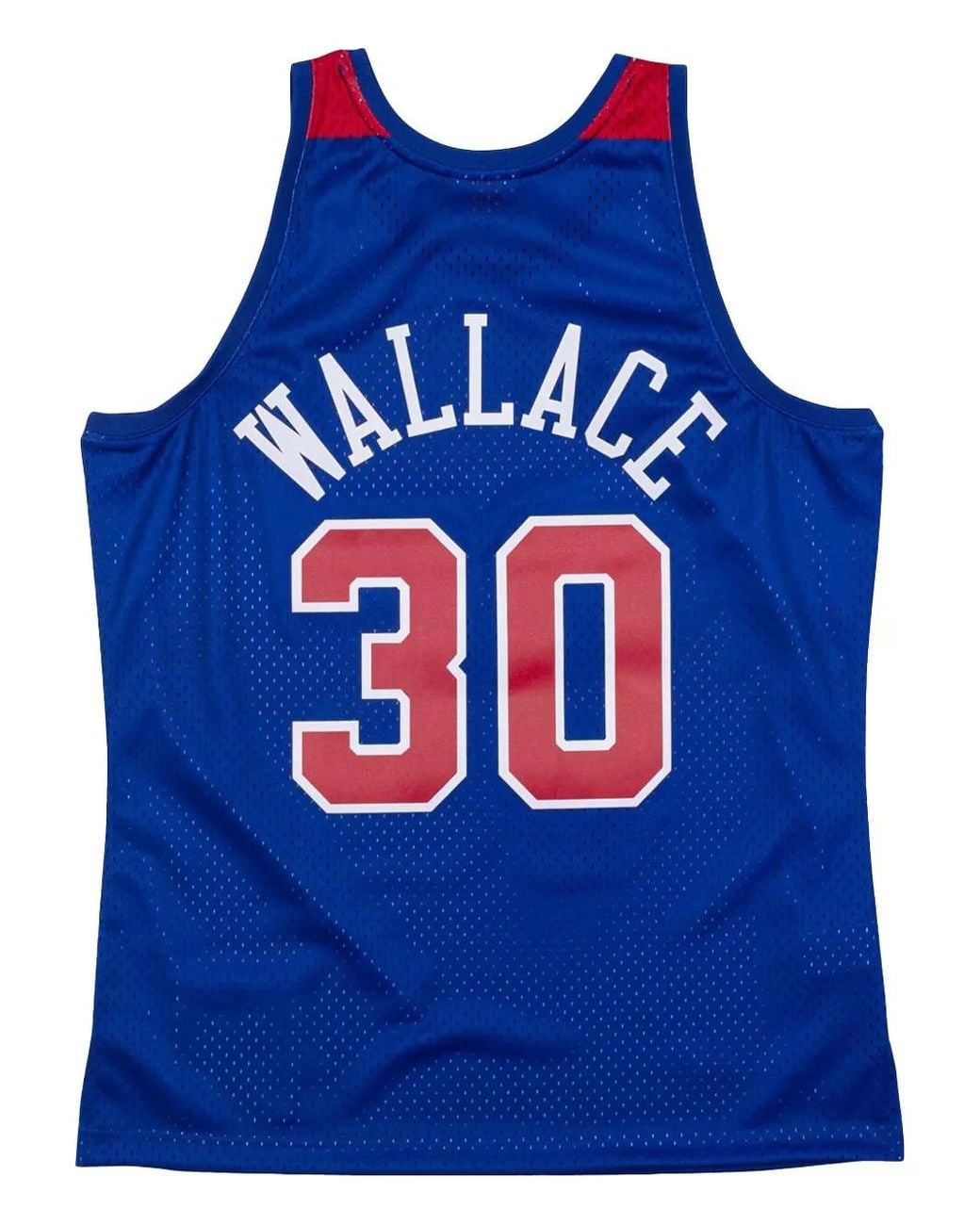 Mitchell & Ness Blue 1996/97 Ben Wallace Washington Bullets Authentic Jersey for men