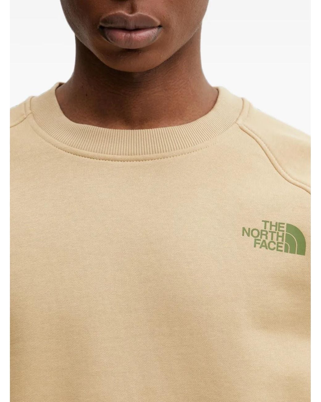 The North Face Blue Logo-Print Raglan-Sleeve Sweatshirt for men
