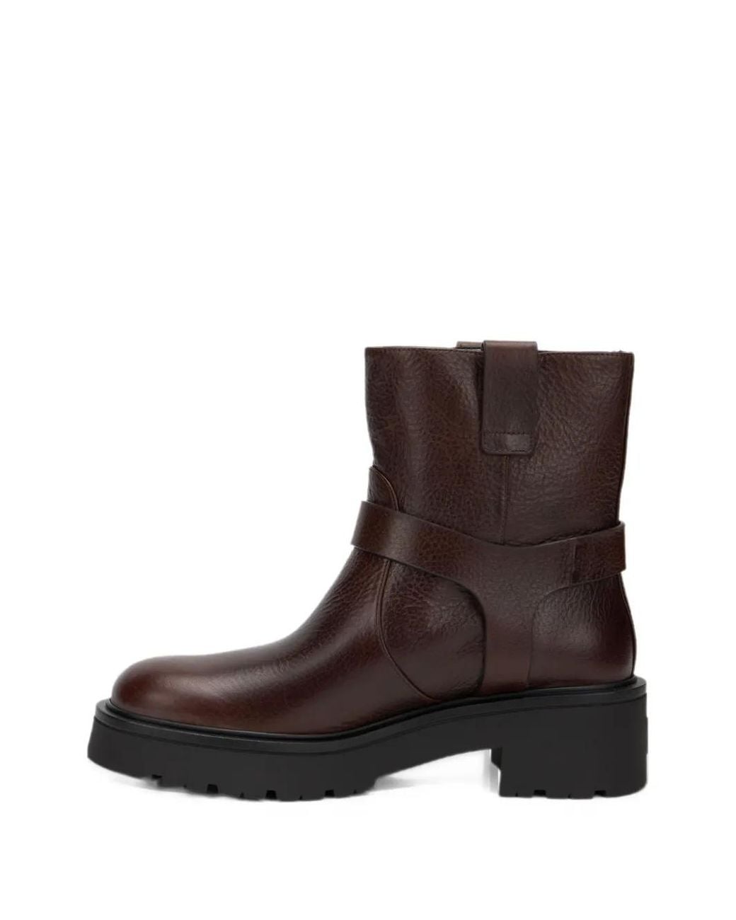 Stuart Weitzman Brown Ren Moto Buckle-Detail Biker Boots