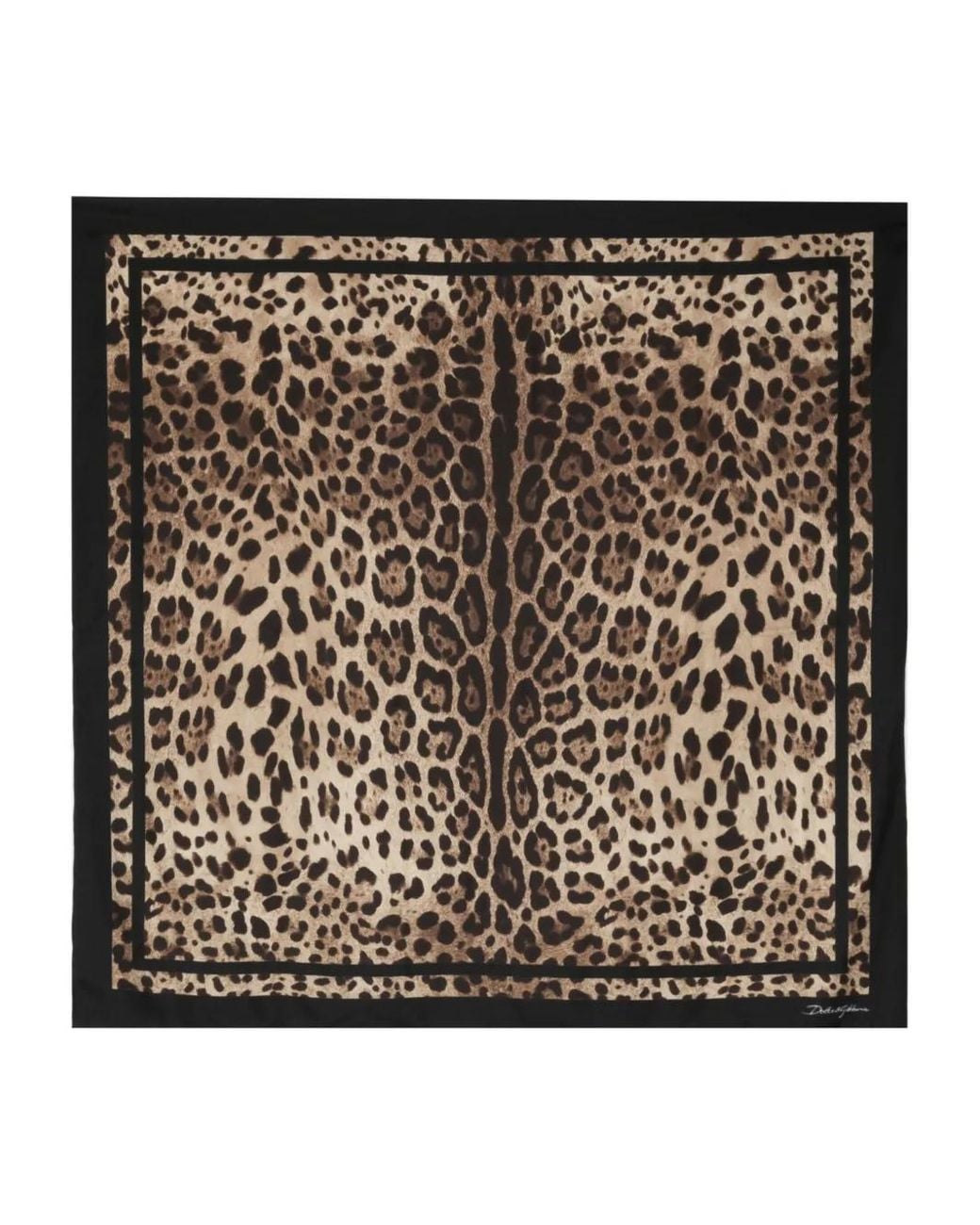 Foulard En Soie À Imprimé Léopard Dolce & Gabbana en coloris Black