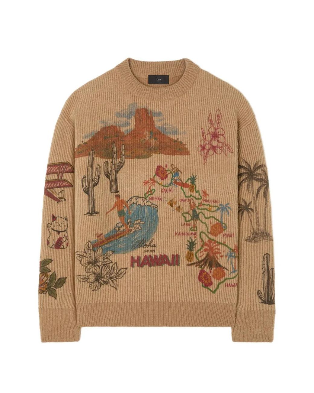 Alanui Brown Decade Graphic-Print Sweater for men