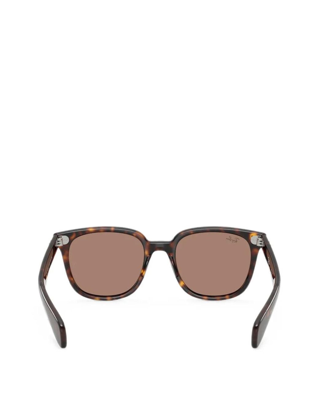 Ray-Ban Brown Brunel Ii Sunglasses