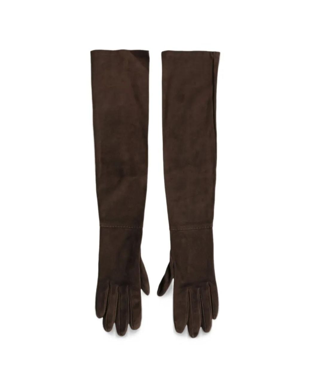 Dolce & Gabbana Brown Suede Elbow-Length Gloves