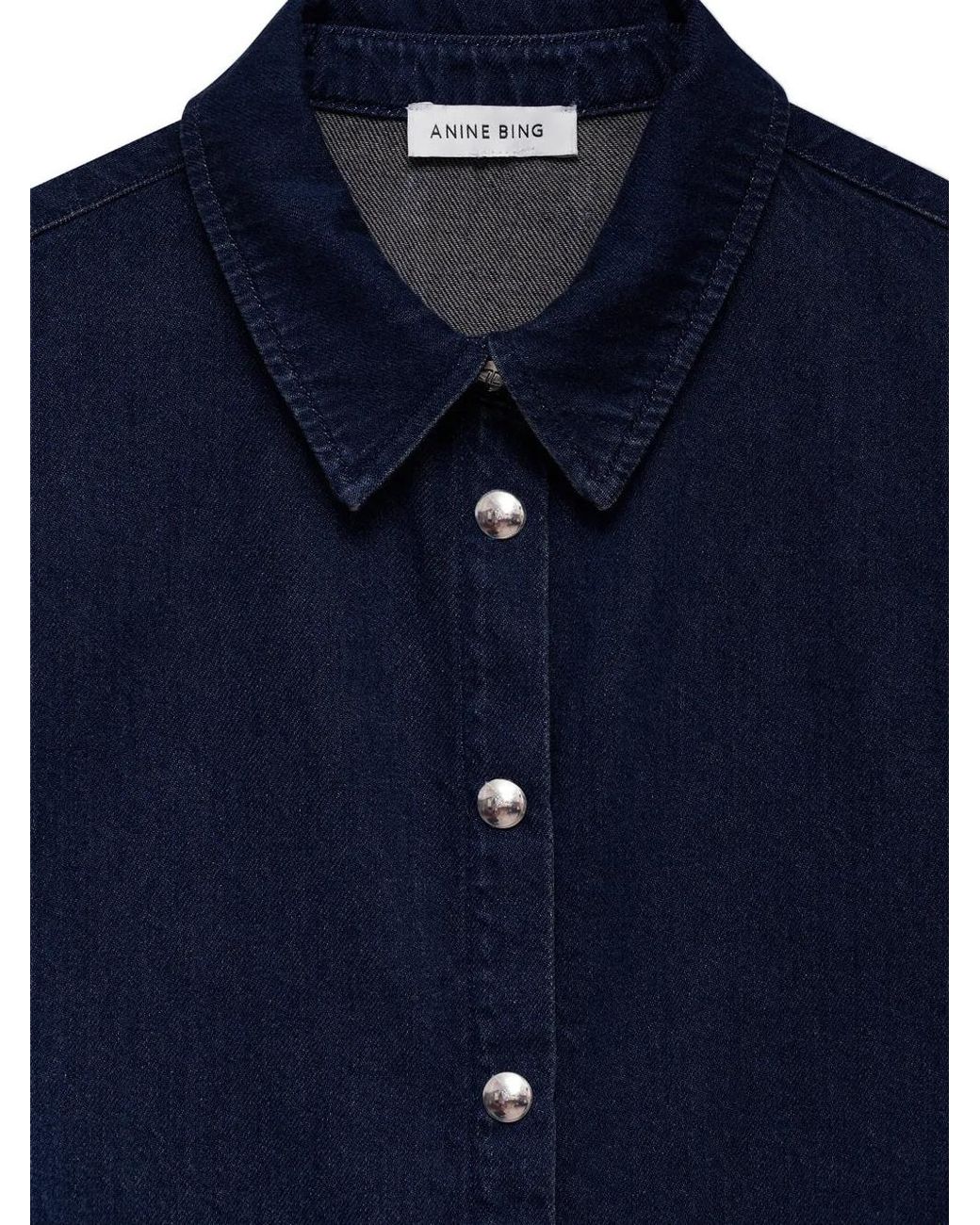 Anine Bing Blue Chemise Lincoln