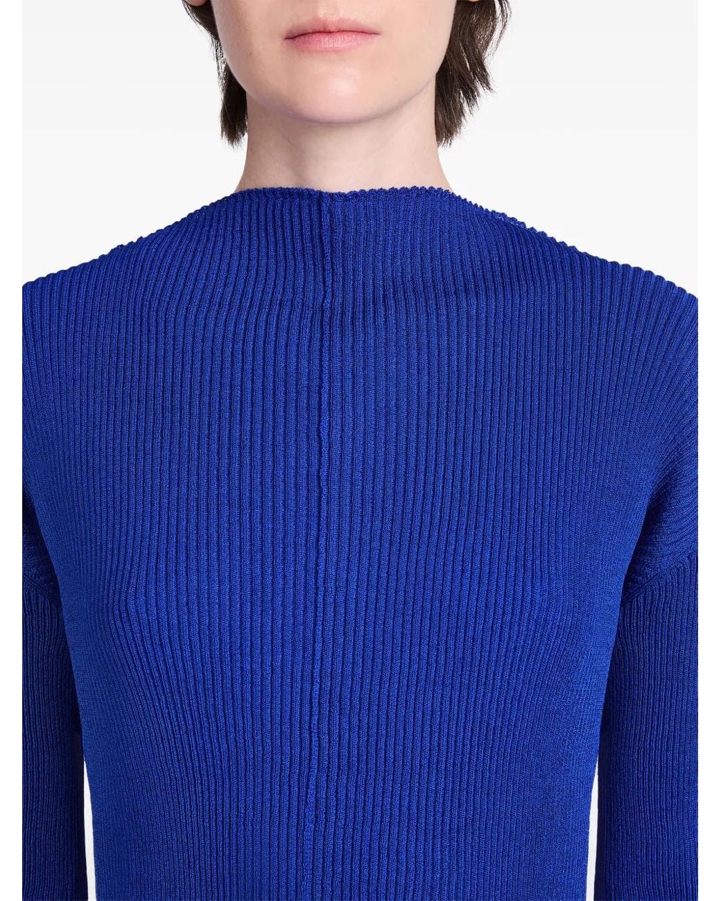 Proenza Schouler Blue Mock-Neck Ribbed Sweatshirt