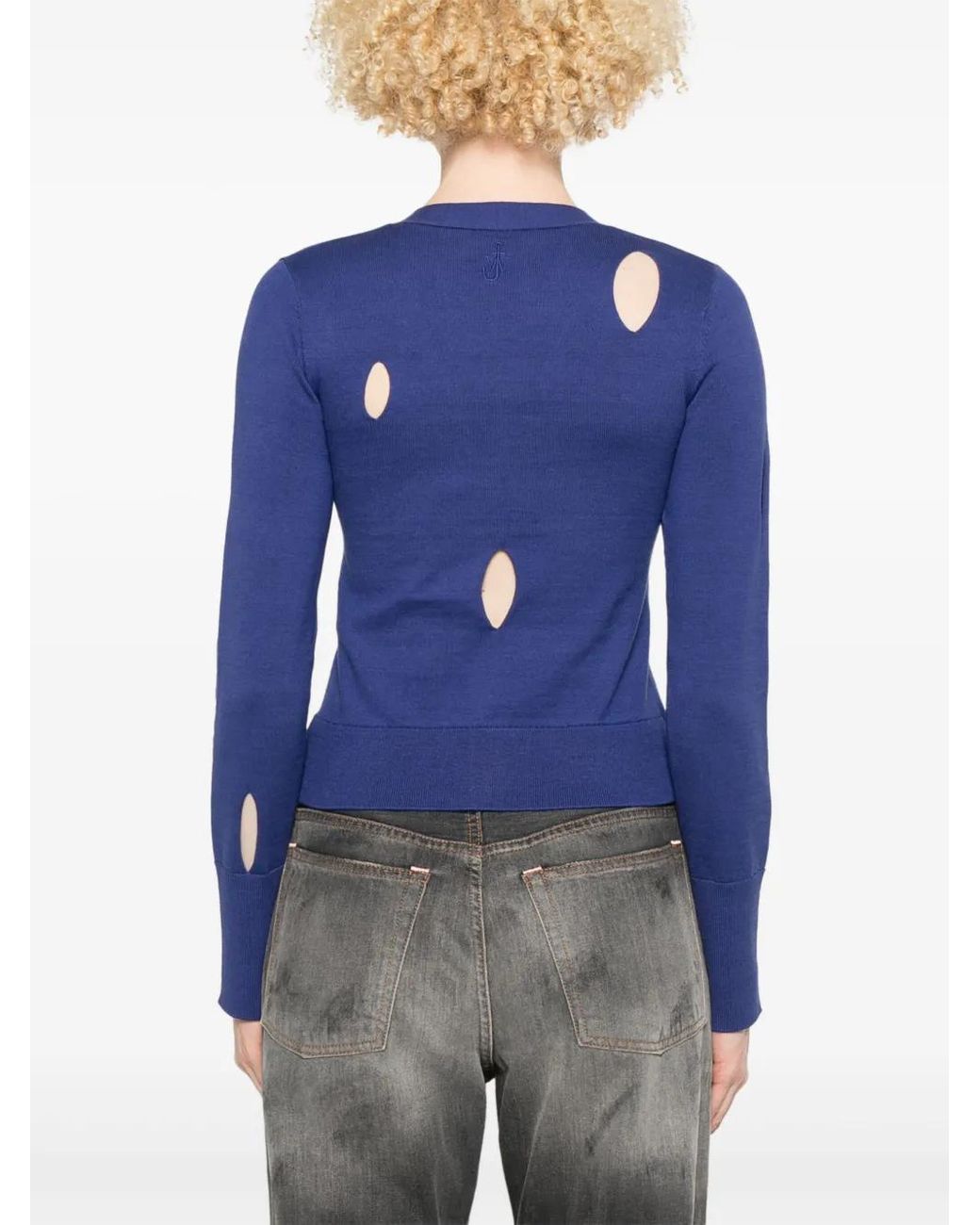 J.W. Anderson Blue Cut-Out Cardigan