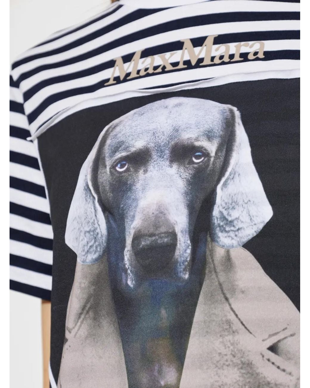 Max Mara Blue Striped Graphic-Print T-Shirt