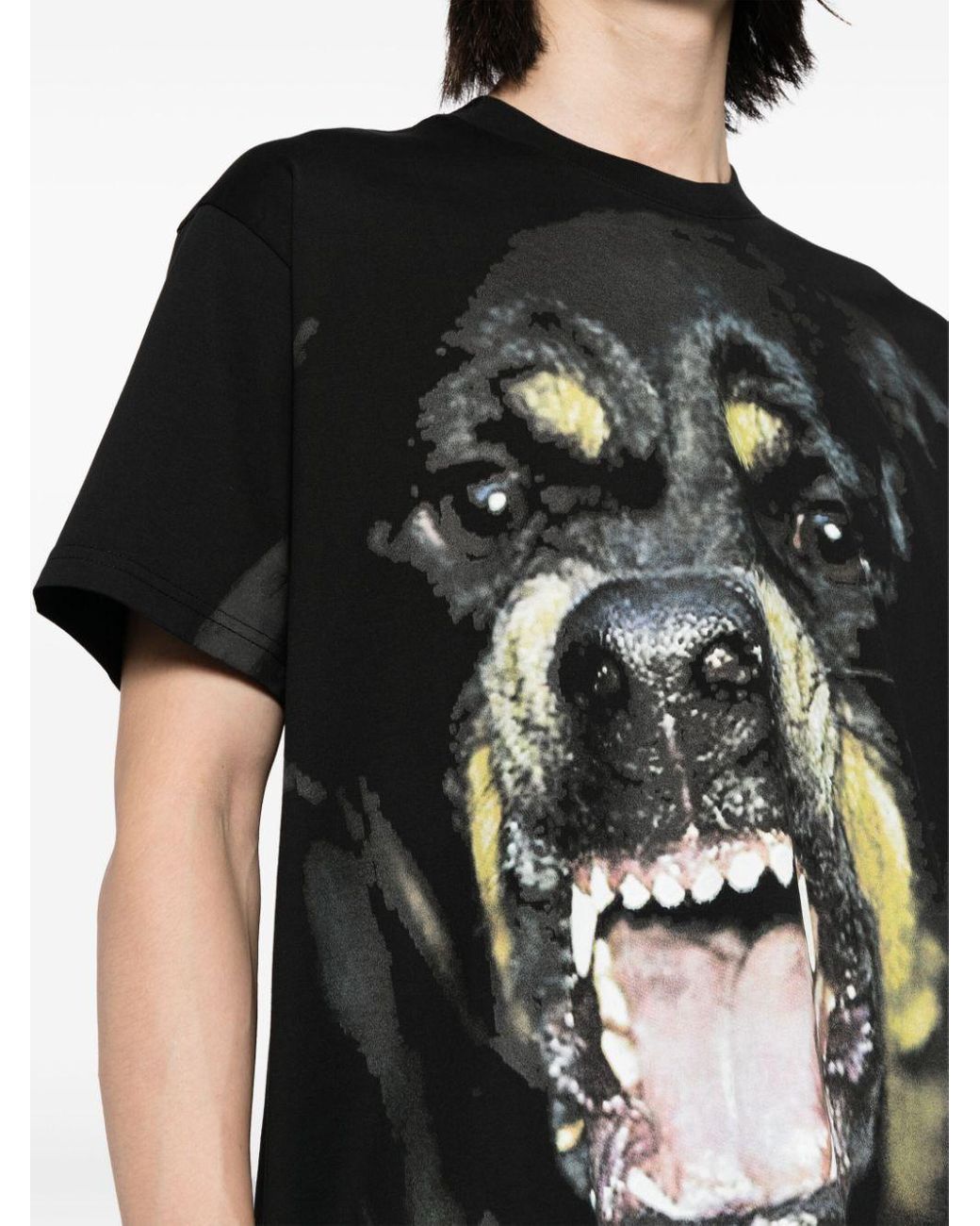 Givenchy Rottweiler Crewneck T Shirt in Black for Men Lyst