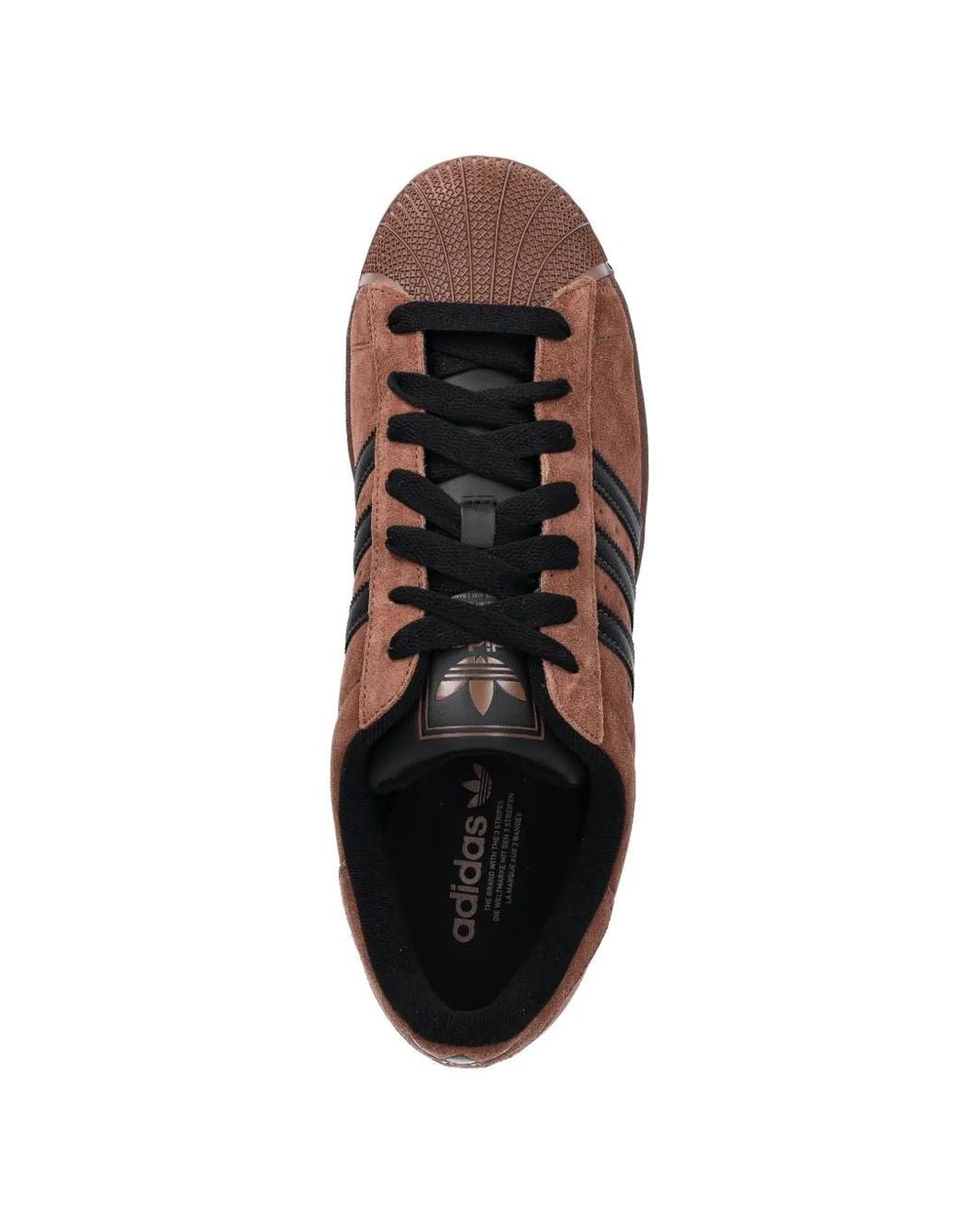 Adidas Brown Superstar Sneakers