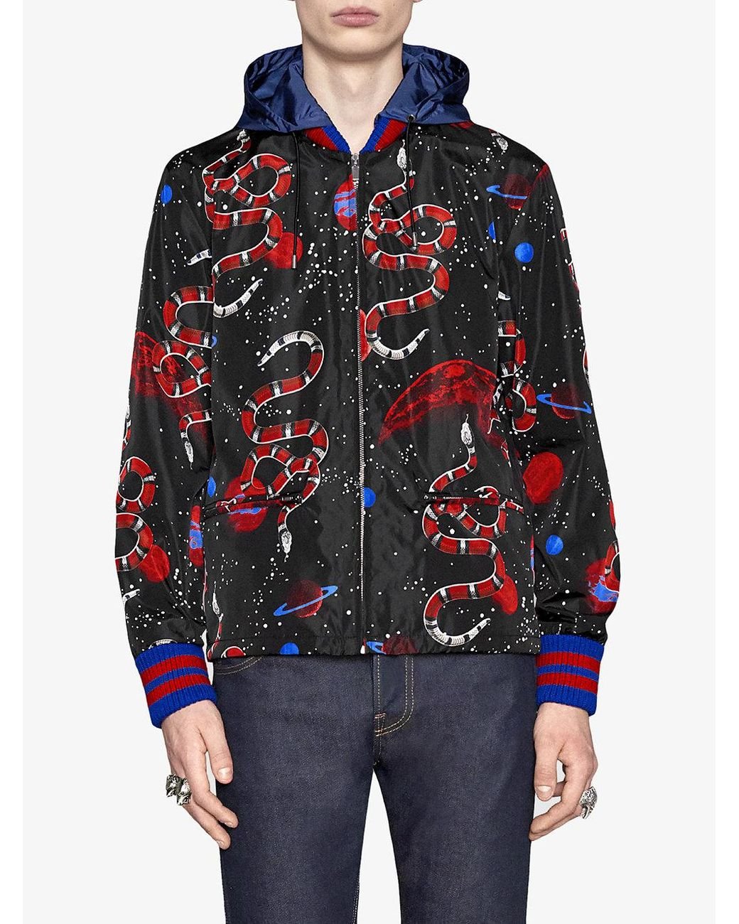 Gucci bomber jacket snake sale