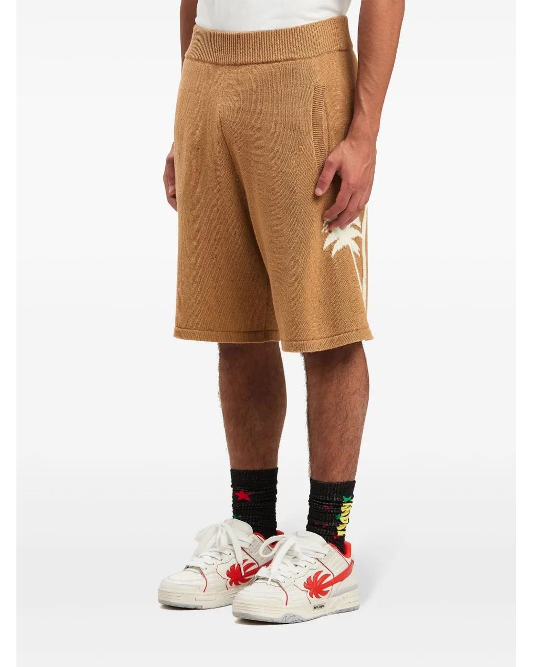 Palm Angels Natural Palm Tree Knitted Shorts for men