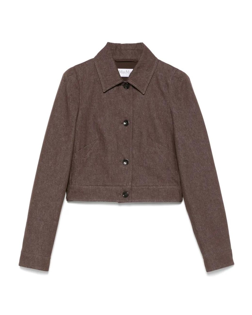 Giacca Carpa di Max Mara in Brown