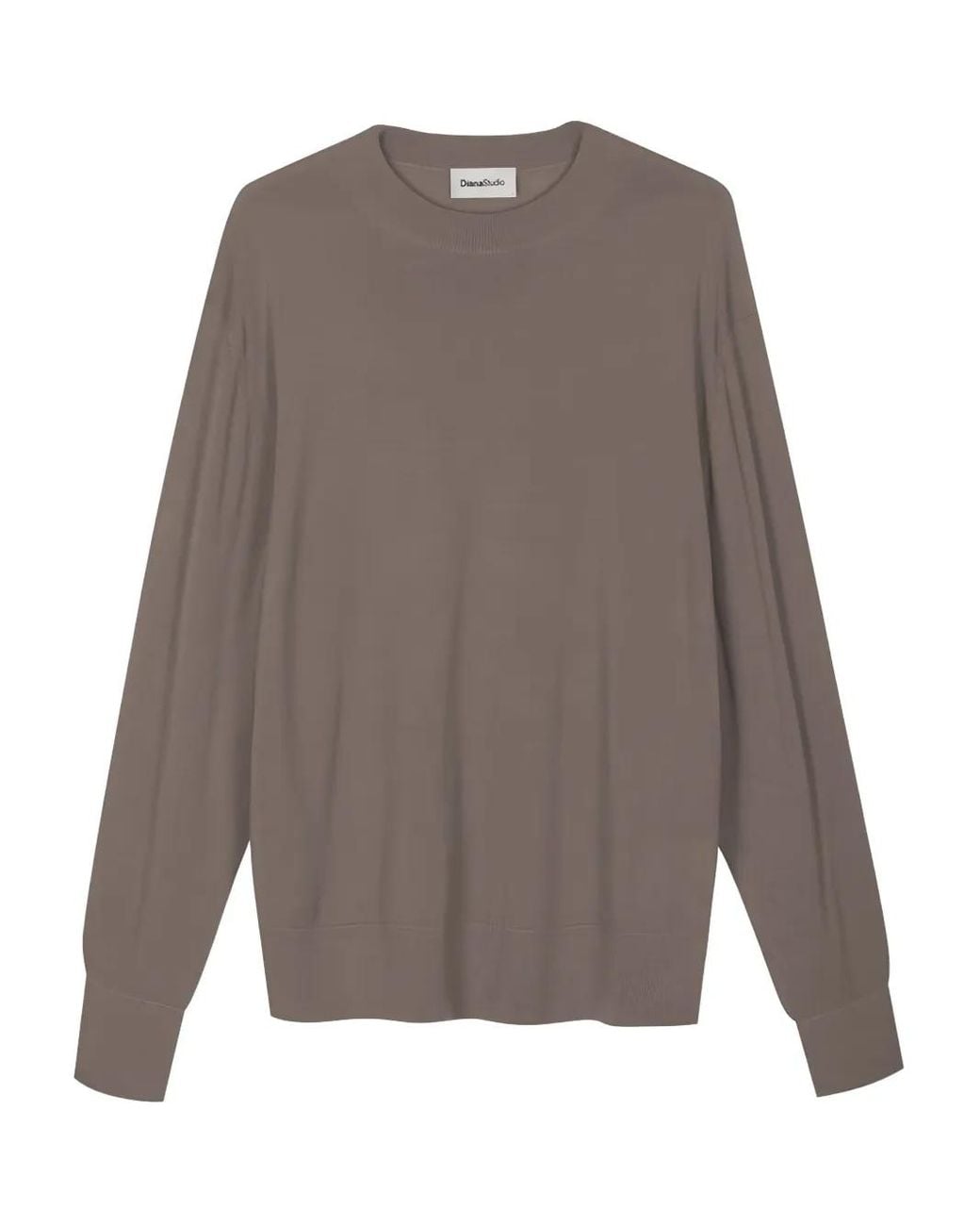 Diana Studio Gray Crew-Neck Long-Sleeve Sweater for men