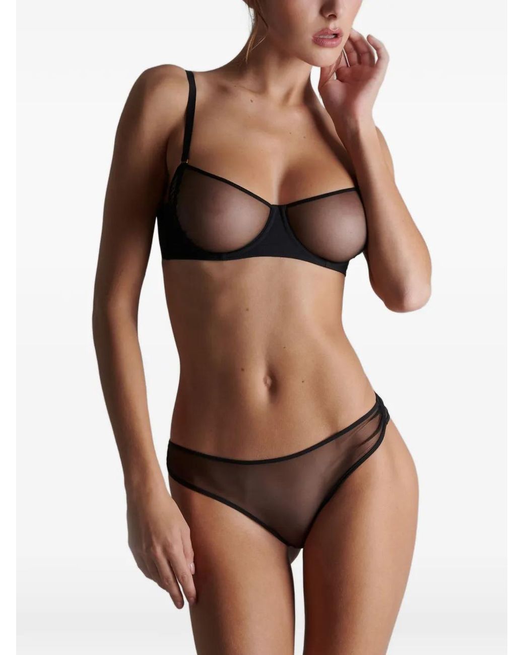 Scandale Gray Culotte Nuit Fauve En Mesh À Effet De Transparence