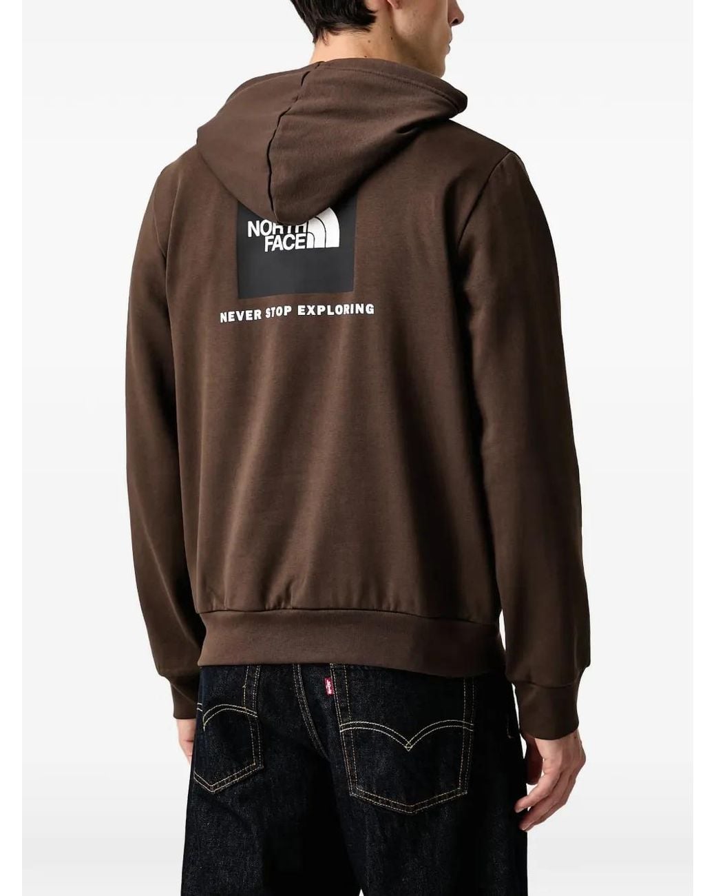 The North Face Evolution Box Nse Regular Hoodie in Brown for Men | Lyst