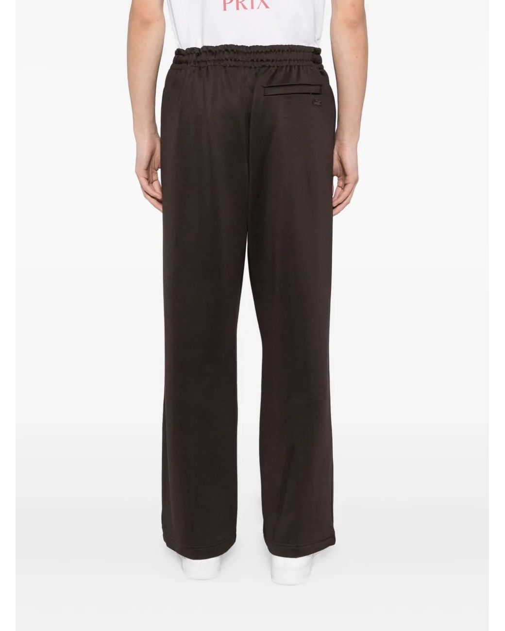 Pantalones De Chándal Elásticos Lacoste de hombre de color Gray