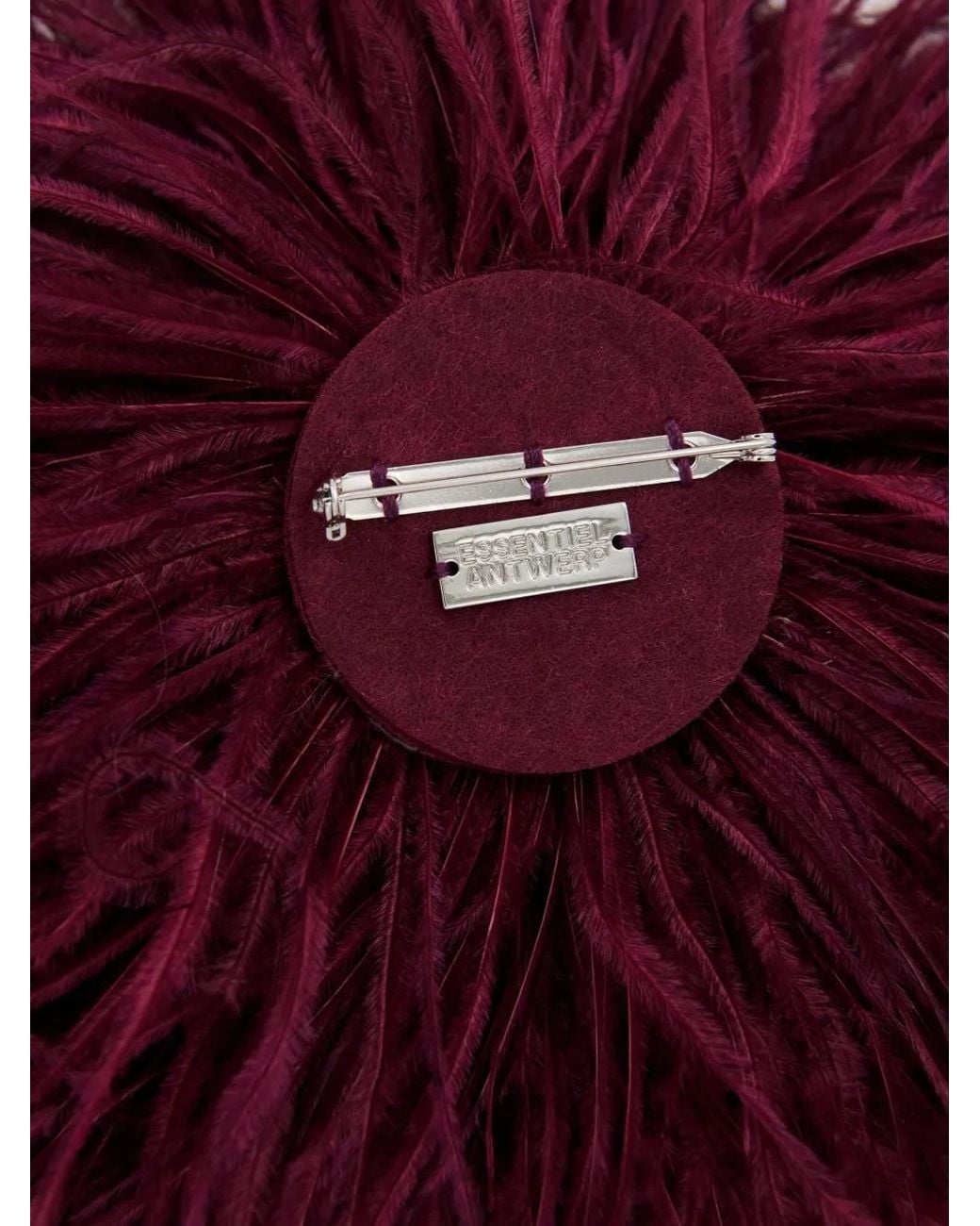 Essentiel Antwerp Kurdy Ostrich-Feather Brooch in Purple | Lyst