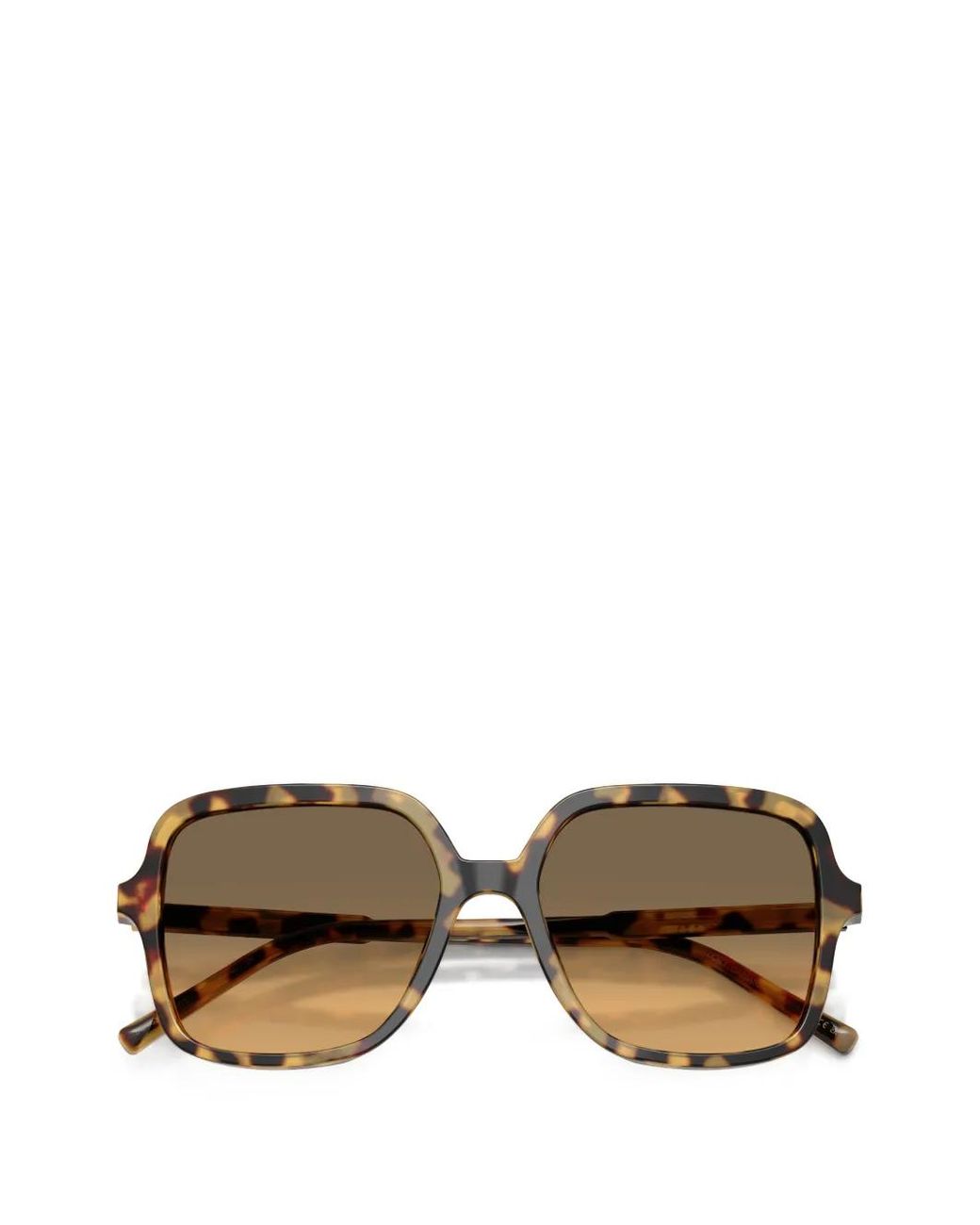 Dolce & Gabbana Brown Oversized-Frame Sunglasses